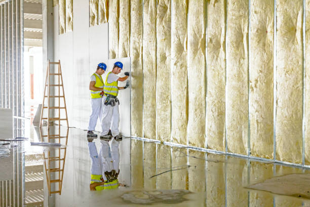 Best Commercial Insulation Services  in Mont Belvieu, TX